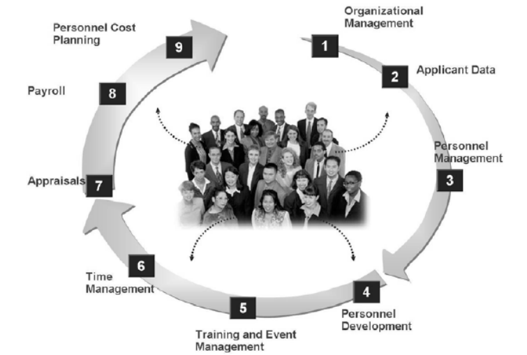 Business Processes in Human Capital Management School of Information Systems