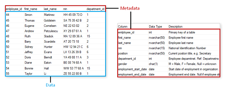 What Is Data Dictionary What Are Its Uses Explain With Example