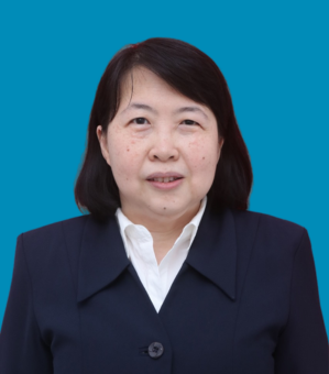 Dr. Ir. Indrajani, S.Kom., M.M.